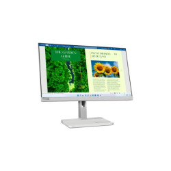 Ecran PC Lenovo L24m-40 FHD 100Hz - USB Type-C