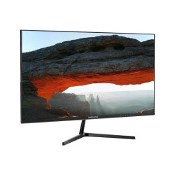 Ecran PC Medion MONITEUR 23,8 FHD FLAT MD20152