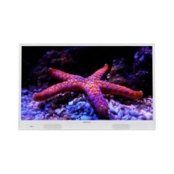 32DMD22HW-TELE LED 82cm sur batterie Blanc
