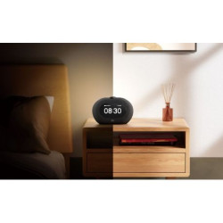HORIZON3BLKEP-JBL HORIZON 3 Noir Radio-réveil bluetooth