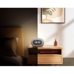 HORIZON3GRYEP-JBL HORIZON 3 Gris Radio-réveil bluetooth