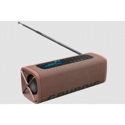 Grundig GBT Band Portable Analogique et numérique Marron