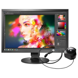EIZO CS2420-Photo 61,2 cm (24.1") 1920 x 1200 pixels WUXGA LED Noir