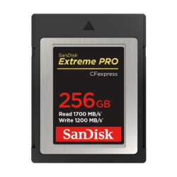 Carte Extreme Pro SanDisk CFexpress 256 Go