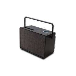 Pure Evoke Play Système de Musique Polyvalent pour l`intérieur et l`extérieur (Radio Dab+/FM, Radio Internet,