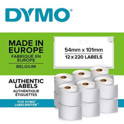 DYMO LW grandes étiquettes autocollantes pour expéditions et badges nominatifs, 54 m...