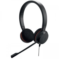 Jabra Evolve 20 MS Duo USB
