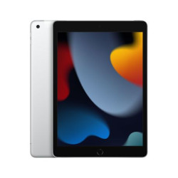 TABLETTE PC APPLE IPAD-MK493NF