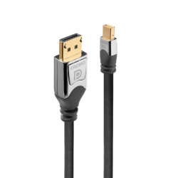 LINDY Câble DisplayPort vers Mini DisplayPort Cromo - 0.5m