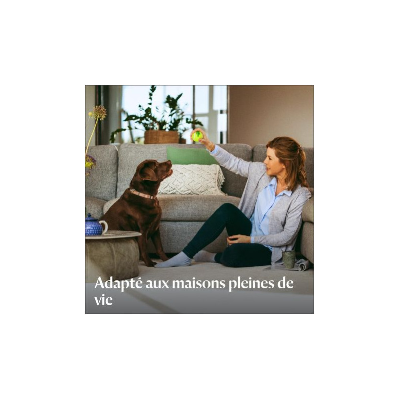 Bissell Revolution 2x ProHeat machine de nettoyage de tapis Marcher derrière Profond Rouge, Titane Bissell Revolution 2x ProHeat machine de nettoyage de tapis Marcher derrière Profond Rouge, Titane