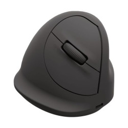 Fellowes vertikale Maus Breyta large right