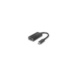 Lenovo 4X90Q93303 câble vidéo et adaptateur 0,2 m USB Type-C DisplayPort Noir