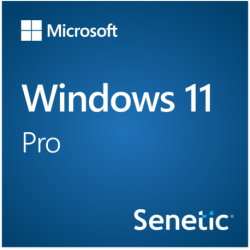 Microsoft Windows 11 Pro 64Bit EN PK DVD SB/OEM