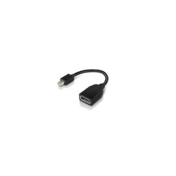 Lenovo Mini-Displayport auf Displayport Adapter