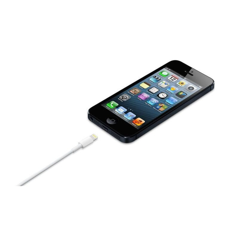 Câble Lightning blanc Apple chargeur iPhone 0,5m